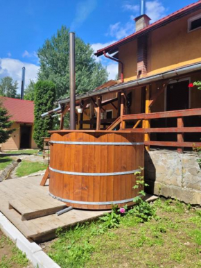 Cabana Sebes